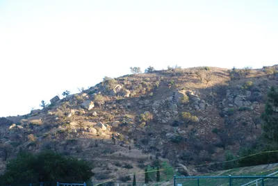 DSC_0005 (Large).JPG
